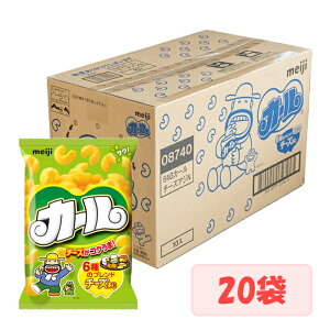 �P�[�X�̔� �J�[�� �`�[�Y���� 64g×20�� ����