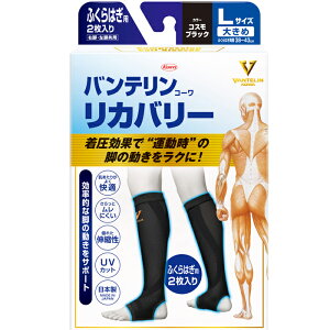 oeR[Jo[ J[tX[u ӂ͂p 傫/LTCY(2) RXubN a