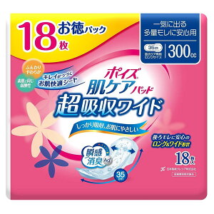 p 300cc |CY PApbh zCh p pbN 18 35cm 16cm lp AƂpbh NVA ÔTΏۏi