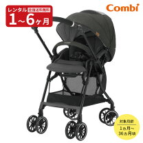 楽天市場】コンビスゴカル αの通販