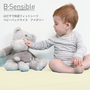 B-Sensible͂TKtBbgV[c@xr[xbhTCY@GAX[htBbgV[c 120×70cm gvZX