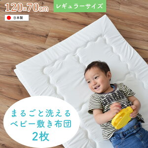 y2Zbgz@ŊۂƐ􂦂xr[~ӂƂ xr[TCYi70×120cmjM[TCY  {usvyjVULz