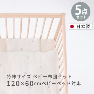 yTCY120×60z  gӂƂ 5_Zbg kKixr[xbhK xr[zcZbg ԂzcZbg |Y