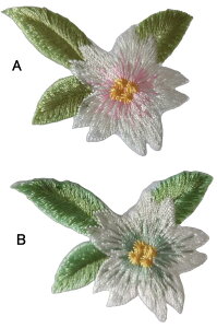  1 by  N TN `[t Ԃт sN w  AbvP hJ ACڒ ACby