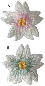  1 by  N TN `[t Ԃт sN w  AbvP hJ ACڒ ACby