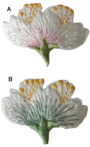  1 by  N TN `[t Ԃт sN w  AbvP hJ ACڒ ACby