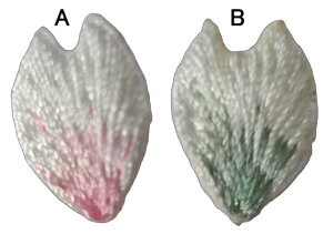  1 by  N TN `[t Ԃт sN w  AbvP hJ ACڒ ACby