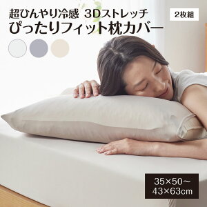 ⊴ Jo[ 2g Ђ 35×50cm 43x63cm ⊴ ڐG⊴  Q-MAX0.53 ėp Xgb` VɂȂɂ ` mt@Xi[ ȒP  ȃGl MǑ΍ 􂦂 n sP[X s