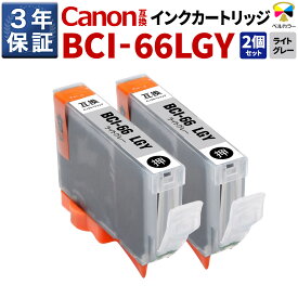3年保証 キヤノン 互換カートリッジ BCI-66 LGY PIXUS PRO-S1 PRO-S1 Mark II ライトグレー 2本セット