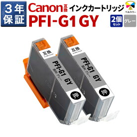 3年保証 キヤノン 互換カートリッジ PFI-G1 GYimagePROGRAF PRO-G1 顔料 グレー 2本セット