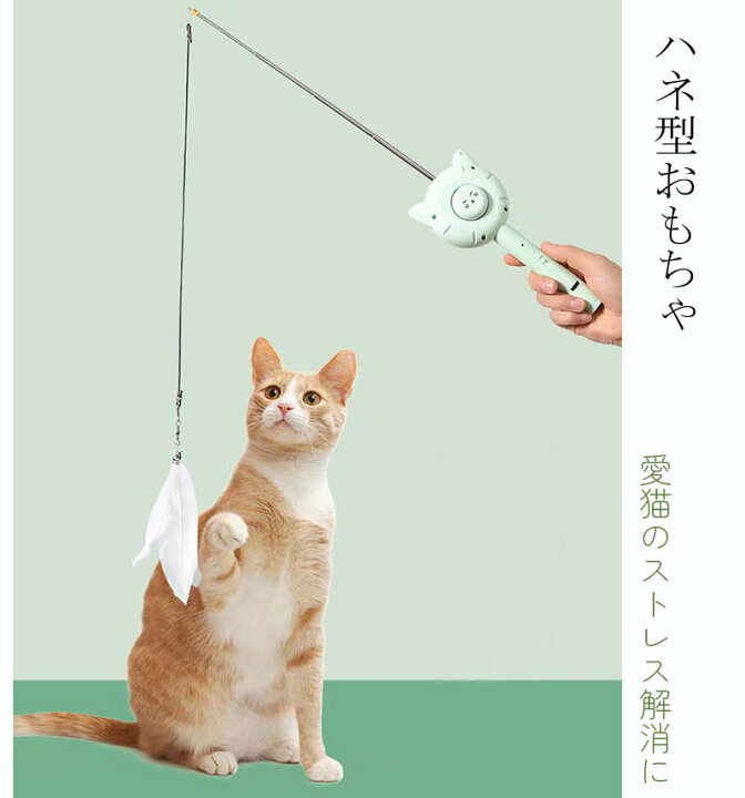 楽天市場】【当日発送】ペットブラシ 猫 犬 抜け毛取り 短毛 中毛 犬猫 
