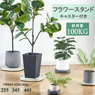 【当日発送】フラワースタンド プランタースタンド キャスター付き キャスター付き鉢皿 台車 鉢台 鉢皿 …