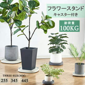 ★お買い物マラソン13％OFF★【当日発送】フラワースタンド プランタースタンド キャスター付き キャスター付き鉢皿 台車 鉢台 鉢皿 受皿 受け皿 トレイ トレー プレート 鉢植え台 観葉植物 鉢植え 植木鉢 耐荷重100KG プランタースタンド長方形 おしゃれ 送料無料