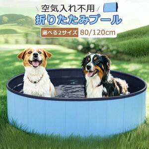 F12OFFN[|yzybgv[ rj[v[ pv[  v[ ybgp ΍ ܂肽ݎ 80x20/120x30cm ~ V j C ^ѕ֗ 