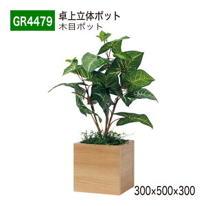 yK㗝XzBELK GreenMode xN O[[h GR4479 |bg ̃|bg 300×500×300 p[e[V p[eBV L[u^Cv ^ Y I ؖ {[   tF