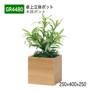 yK㗝XzBELK GreenMode xN O[[h GR4480 |bg ̃|bg 250×400×250 p[e[V p[eBV L[u^Cv ^ Y I ؖ {[   tF