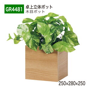 yK㗝XzBELK GreenMode xN O[[h GR4481 |bg ̃|bg 250×280×250 p[e[V p[eBV L[u^Cv ^ Y I ؖ {[   tF