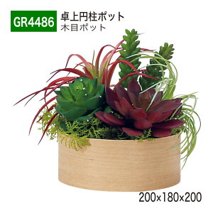 yK㗝XzBELK GreenMode xN O[[h GR4486 |bg ̃|bg 200×180×200 p[e[V p[eBV ~^Cv ^ Y I ؖ {[   tFCN