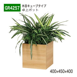 yK㗝XzBELK GreenMode xN O[[h GR4257 |bg ̃|bg 400x450x400 p[e[V p[eBV L[u^Cv ^ Y I ؖ {[   tFC