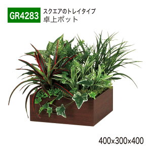 yK㗝XzBELK GreenMode xN O[[h GR4283 |bg ؖڃ|bg 400×300×400 p[e[V p[eBV |Cg ANZg Vo P A   tFCN