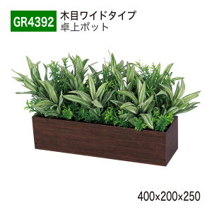 yK㗝XzBELK GreenMode xN O[[h GR4392 |bg ؖڃ|bg 400×200×250 p[e[V p[eBV |Cg ANZg Vo P A   tFCN