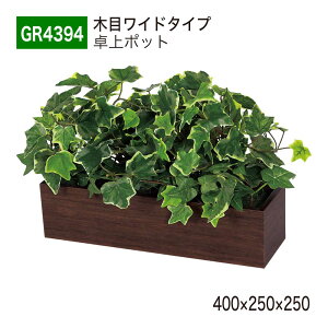 yK㗝XzBELK GreenMode xN O[[h GR4394 |bg ؖڃ|bg 400×250×250 p[e[V p[eBV |Cg ANZg Vo P A   tFCN