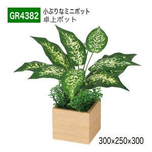 yK㗝XzBELK GreenMode xN O[[h GR4382 |bg ؖڃ|bg 300×250×300 p[e[V p[eBV ~j^Cv |Cg ANZg AW   tF