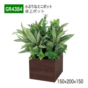 yK㗝XzBELK GreenMode xN O[[h GR4384 |bg ؖڃ|bg 150×200×150 p[e[V p[eBV ~j^Cv |Cg ANZg AW   tF