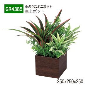 yK㗝XzBELK GreenMode xN O[[h GR4385 |bg ؖڃ|bg 250×250×250 p[e[V p[eBV ~j^Cv |Cg ANZg AW   tF