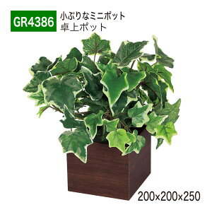 yK㗝XzBELK GreenMode xN O[[h GR4386 |bg ؖڃ|bg 200x200x250 p[e[V p[eBV ~j^Cv |Cg ANZg AW   tFC