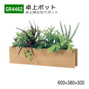 yK㗝XzBELK GreenMode xN O[[h GR4462 |bg Ԏd؂|bg 600×380×300 ^ X ȃXy[X p[e[V p[eBV g₷   tFC