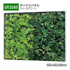 【正規代理店】BELK GreenMode ベルク グリーンモード GR3566 ウォールグリーン 600×450×66 薄型BOX 透明板 アクリル パネル フレーム 額装 壁 直付け ひも掛け 汎用 使いやすい おしゃれ 癒し フェイクグリーン 人工観葉植物 人工樹木 造花 装飾 インテリア 屋内用 国産