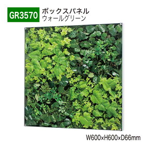 【正規代理店】BELK GreenMode ベルク グリーンモード GR3570 ウォールグリーン 600×600×66 薄型BOX 透明板 アクリル パネル フレーム 額装 壁 直付け ひも掛け 汎用 使いやすい おしゃれ 癒し フェイ