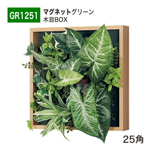 yK㗝XzBELK xN }OlbgO[ 300x300x150 ؖڃt[t O[pl 悢{[ }bg^Cv A[gpl ǖʗΉppl tFCNO[ lHϗtA