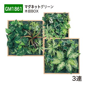 yK㗝XzBELK xN }OlbgO[ 750x650x150 ؖڃt[t }Olbgpl 悢{[ }bg^Cv A[gpl ǖʗΉppl tFCNO[ lHϗt