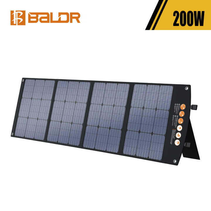 楽天市場】【正規代理店】BALDR PIONEER 200W 最新型ETFE 