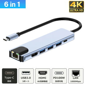 USB ハブ Type-C 6in1 4K HDMI USB3.0 PD対応 LAN 1Gbps ポート hub ドッキングステーション 高解像度 USB-C ハブ 変換 USB-C アダプタ 有線LANアダプター 有線接続 スマホ iPhone15 pro max MacBook iPad air Pro Surface Android ノートPC nintendo switch ドック無し