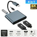 【5%OFF クーポン】USB C to HDMI 4K x2 60Hz 30Hz変換アダプタ ハブ 4in1 USB2.0 対応 hub 高解像度 タイプC usbから…