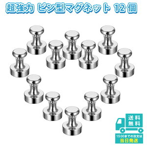 マグネット ピン 12個セット  超強力 マグネットピン ネオジム 磁石 フック ネオジム磁石 大容量 フック 冷蔵庫 ホワイトボード 事務所 仕事 会社 家 使いやすい 持ちやすい おし