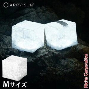 CARRY THE SUN(L[EUET) Cg N[uCg ~fBA zCg 24034 ^ MTCY \[[^ AEghA Lv z LED ܂݃Cg CeA L[U
