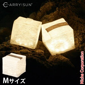 CARRY THE SUN(L[EUET) Cg EH[Cg ~fBA ubN 24033 ^ LED \[[Cg ܂肽 y MTCY \[[^ AEghA Lv z LED 