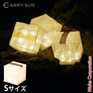 CARRY THE SUN(L[EUET) Cg EH[Cg X[ ubN 24038 ^ [d \[[ LED ܂ y STCY \[[^ AEghA Lv z LED ܂