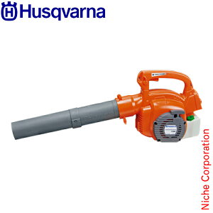 nXNo[i gCu[ H586498001  u ߋ uA[ gC uA  u[ o