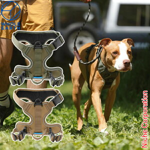 z[A[X ybg n[lX WE2MDZ55 AEghA Lv ybgpi ^ ^   ł U U nocu ڏi