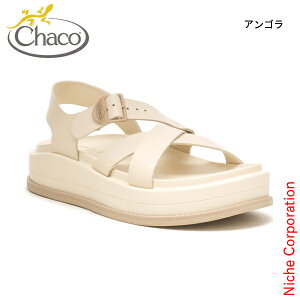 `R EBY ^E ~bhtH[ 12365298 AEghA EFA V[Y C fB[X T_  X|T X|[cT_ T_   nocu ڏi