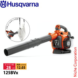 nXNo[i u[ 125BVx tbgmYt oL[Lbgt 952715645 Vi ^] nғmF uA[ Wo u W t oL[ | uA GWu