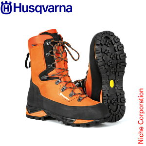 nXNo[i veNeBuU[u[c eNjJ24 5976592 ی hpi S C V[Y ƌC SC `F[\[ `F\[