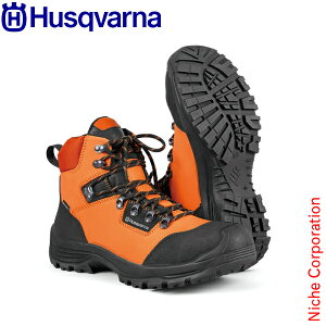 nXNo[i K[fu[ceNjJ 5976595 ی hpi S SC y 