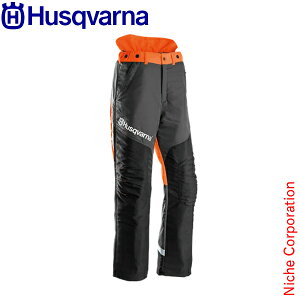nXNo[i veNeBuY{F/24-II 5950010 ی hpi S ϐ h `F\[ `F[\[ pc