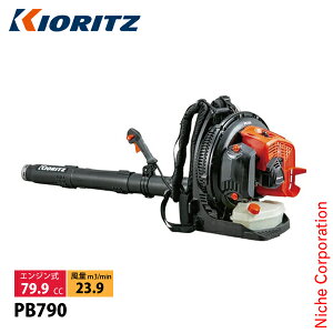 KIORITZij GWu w^Cv PB790 GW w u[ uA[ uA